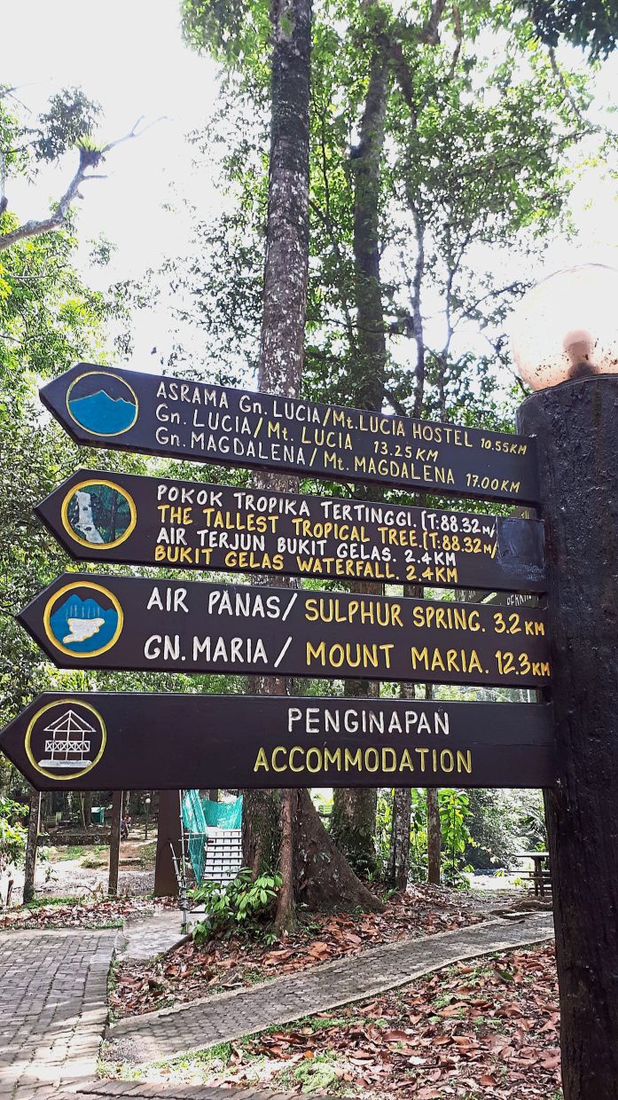 Tawau Hills Park is a good place to go to see Malaysia's only volcanic crater at Mount Magdalena.