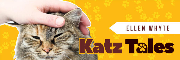 Katz Tales